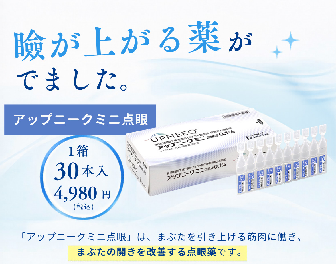 アップニーク®ミニ点眼液0.1%